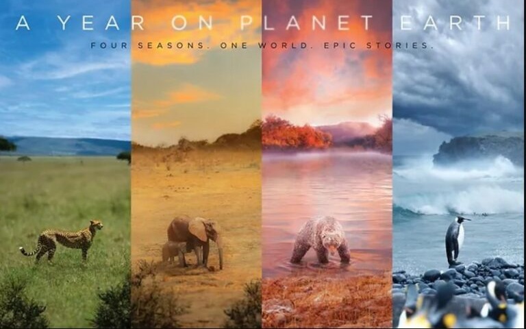 A Year on Planet Earth