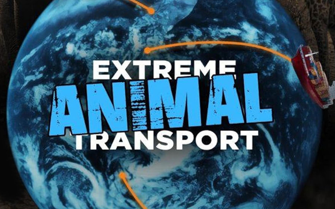 Extreme Animal Transport