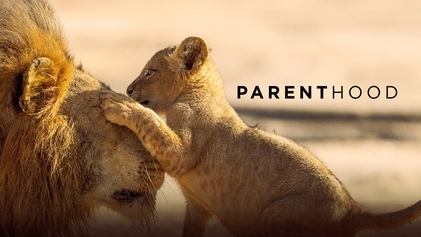 David Attenborough's Parenthood